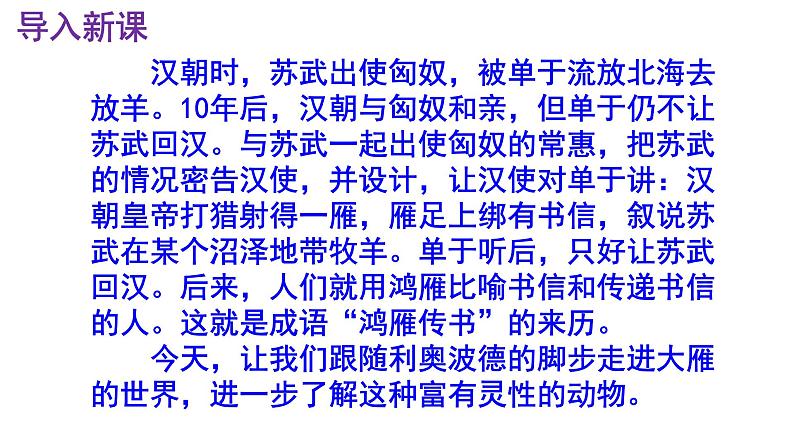 八下语文 7《大雁归来》实用课件02