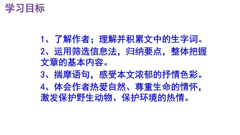 八下语文 7《大雁归来》实用课件03