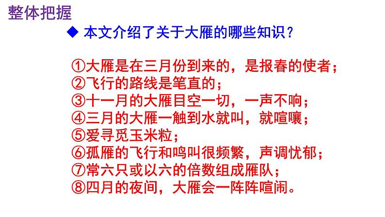 八下语文 7《大雁归来》实用课件08