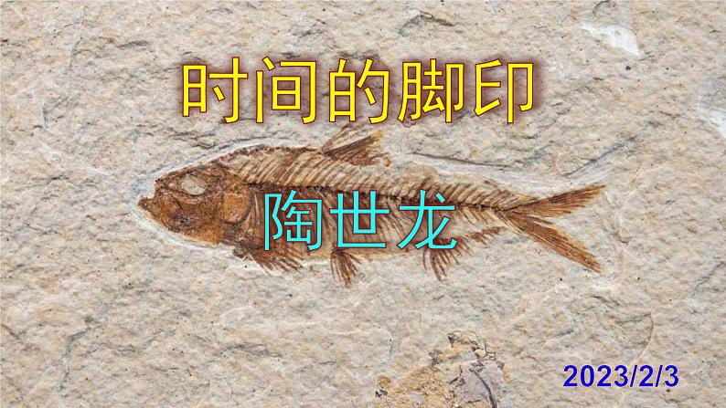 八下语文 8《时间的脚印》实用课件01