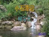 八下语文 10《小石潭记》实用课件