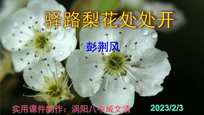七下语文 15《驿路梨花》优秀课件第1页