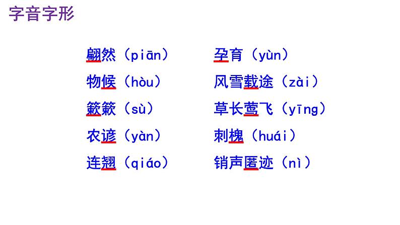 八下语文 5《大自然的语言》优秀课件08