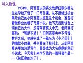 八下语文 6《被压扁的沙子》优秀课件