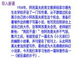 八下语文 6《被压扁的沙子》优秀课件