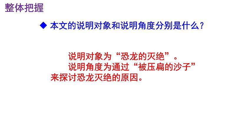 八下语文 6《被压扁的沙子》优秀课件第8页