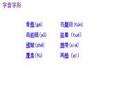 八下语文 6《恐龙无处不有》优秀课件