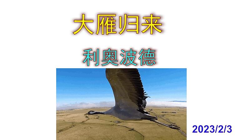 八下语文 7《大雁归来》优秀课件01