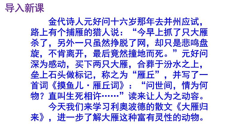 八下语文 7《大雁归来》优秀课件02