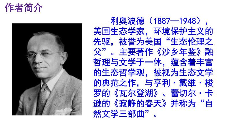 八下语文 7《大雁归来》优秀课件04