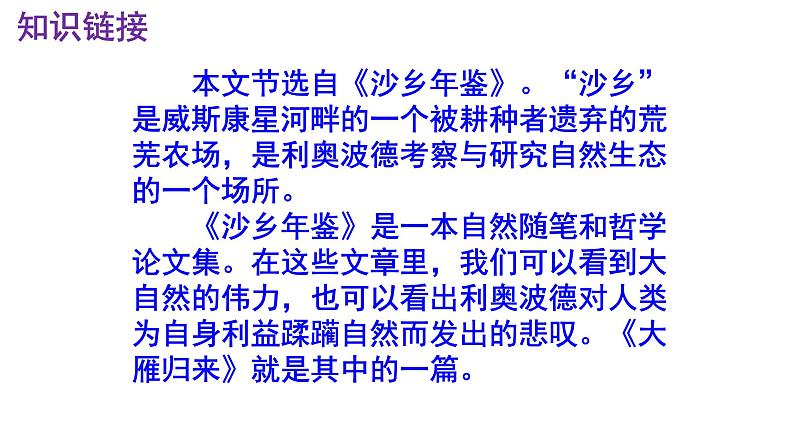 八下语文 7《大雁归来》优秀课件05