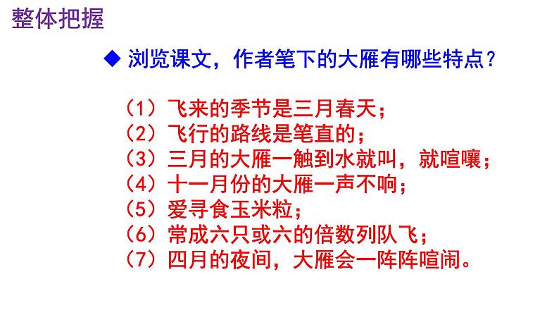 八下语文 7《大雁归来》优秀课件07