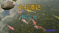 人教部编版八年级下册第三单元10 小石潭记完整版ppt课件