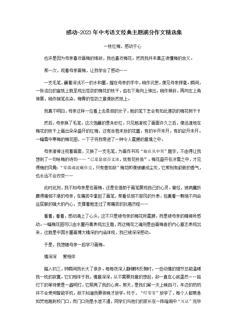 主题11  感动-2023年中考语文经典主题满分作文精选集第1页