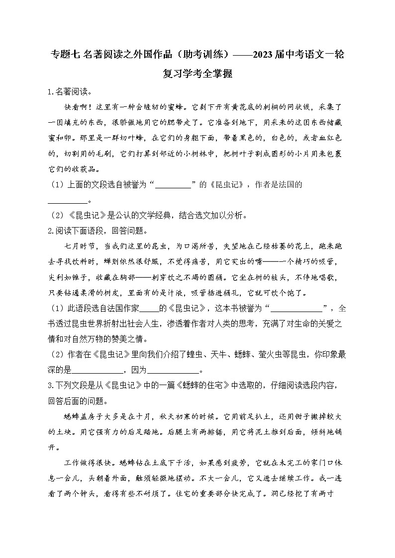 专题七 名著阅读之外国作品（助考训练）——2023届中考语文一轮复习学考全掌握第1页
