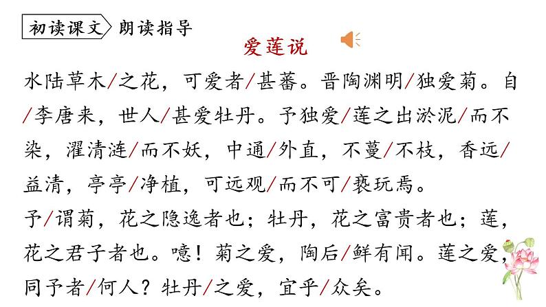 第17课《爱莲说》课件第8页