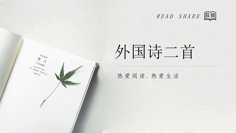 第20课《假如生活欺骗了你》课件第1页