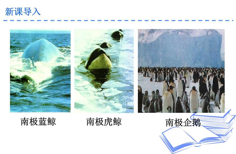 第22课《伟大的悲剧》课件第3页