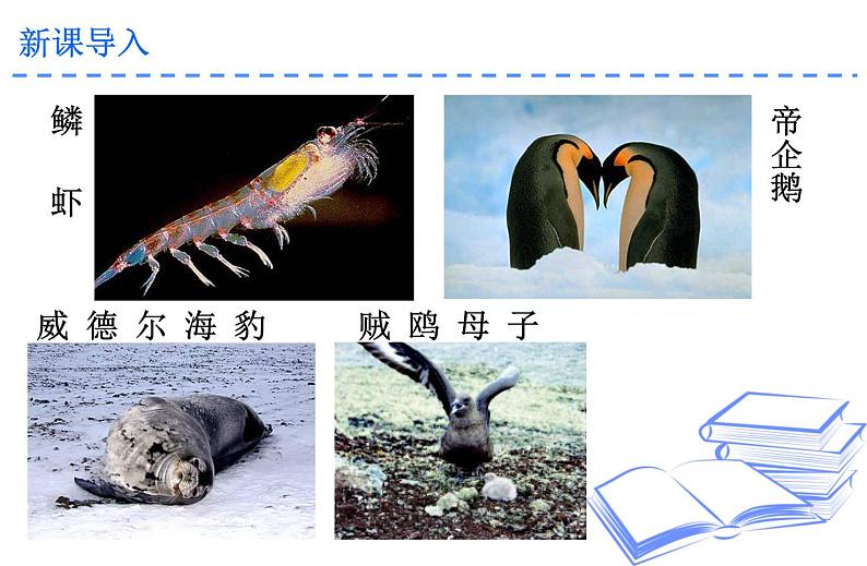 第22课《伟大的悲剧》课件第4页