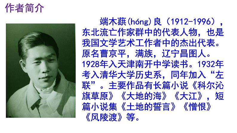 七下语文 8《土地的誓言》精品实用高效课件第5页