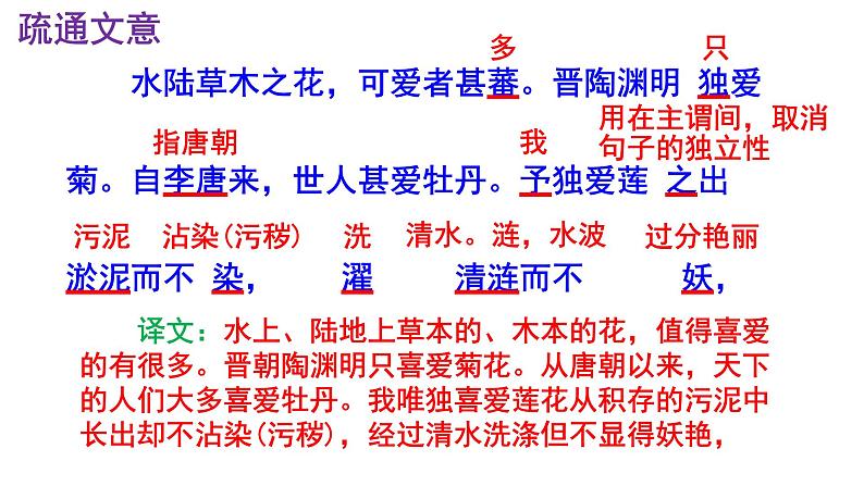 七下语文 17《爱莲说》精品实用高效课件08
