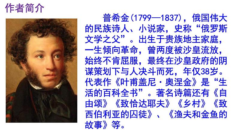 七下语文 20《假如生活欺骗了你》精品实用高效课件第4页