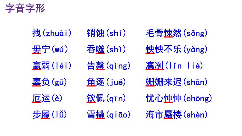 七下语文 22《伟大的悲剧》精品实用高效课件07