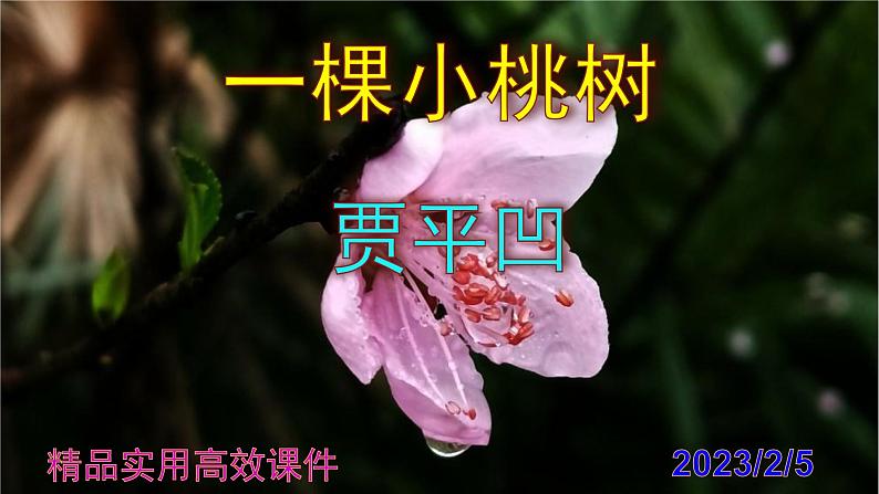 七下语文 19《一颗小桃树》精品实用高效课件01