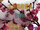 八下语文 5《大自然的语言》精品实用高效课件