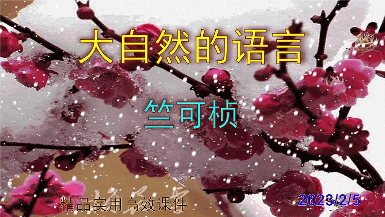 八下语文 5《大自然的语言》精品实用高效课件01