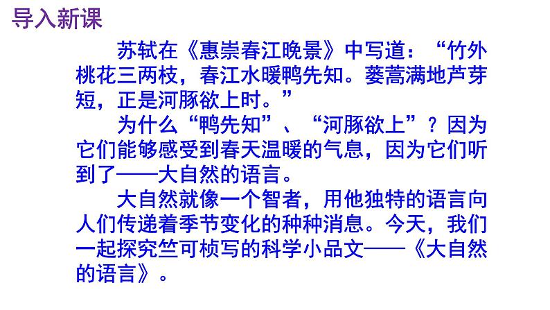 八下语文 5《大自然的语言》精品实用高效课件02
