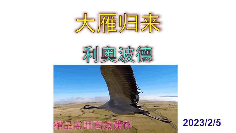 八下语文 7《大雁归来》精品实用高效课件01