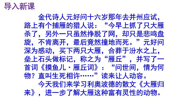 八下语文 7《大雁归来》精品实用高效课件02