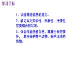 八下语文 7《大雁归来》精品实用高效课件
