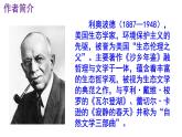 八下语文 7《大雁归来》精品实用高效课件
