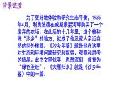 八下语文 7《大雁归来》精品实用高效课件