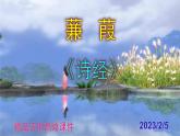 八下语文 12《蒹葭》精品实用高效课件