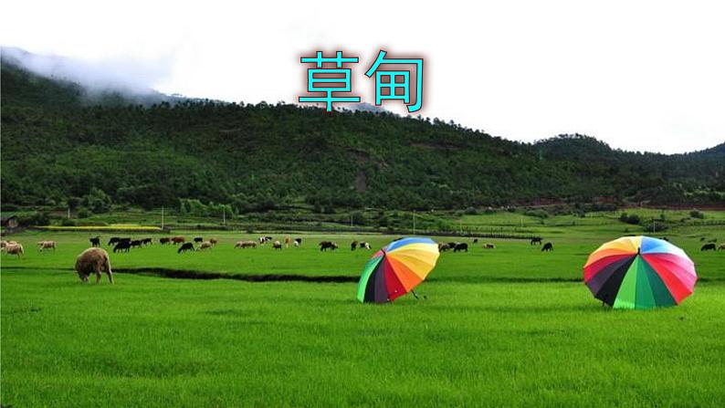 八下语文 20《一滴水经过丽江》精品实用高效课件04
