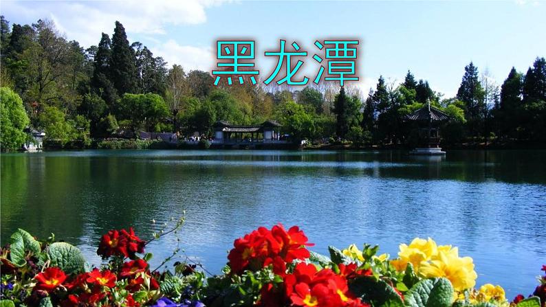 八下语文 20《一滴水经过丽江》精品实用高效课件05