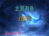八下语文 21《北冥有鱼》精品实用高效课件