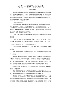 2022-2023 语文部编版新中考精讲精练 考点03辨析与修改病句