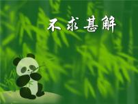 人教部编版九年级下册不求甚解示范课课件ppt