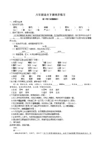 人教部编版八年级下册安塞腰鼓同步测试题