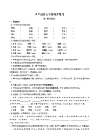 语文八年级下册灯笼课时练习