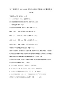 辽宁省锦州市2021-2022学年七年级下学期期末质量检测语文试题
