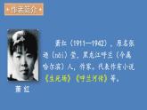 部编版七年级语文下册--3 回忆鲁迅先生（节选） （课件）
