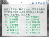 部编版七年级语文下册--3.回忆鲁迅先生（节选）（课件1）