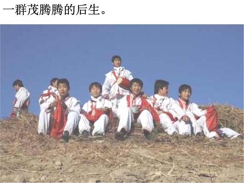 部编版八年级语文下册--3.安塞腰鼓（课件）08