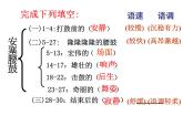 部编版八年级语文下册--3.安塞腰鼓（课件3）