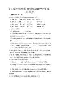 河南省新乡市辉县市城北初级中学2022-2023学年九年级上学期期末考试语文试卷(含答案)